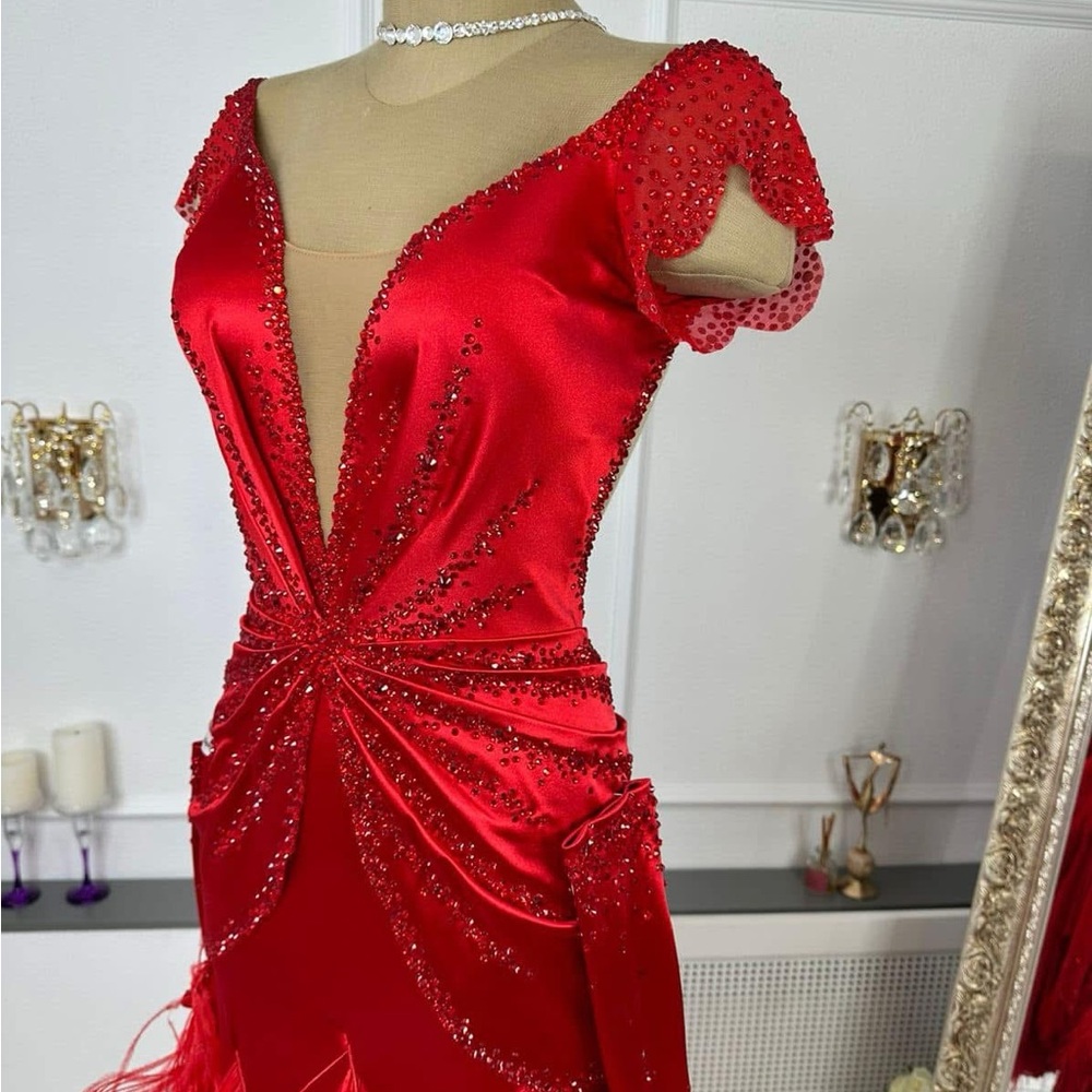 Elegant Red Feathered Ballroom Competition Dress - Picture 3 of 3